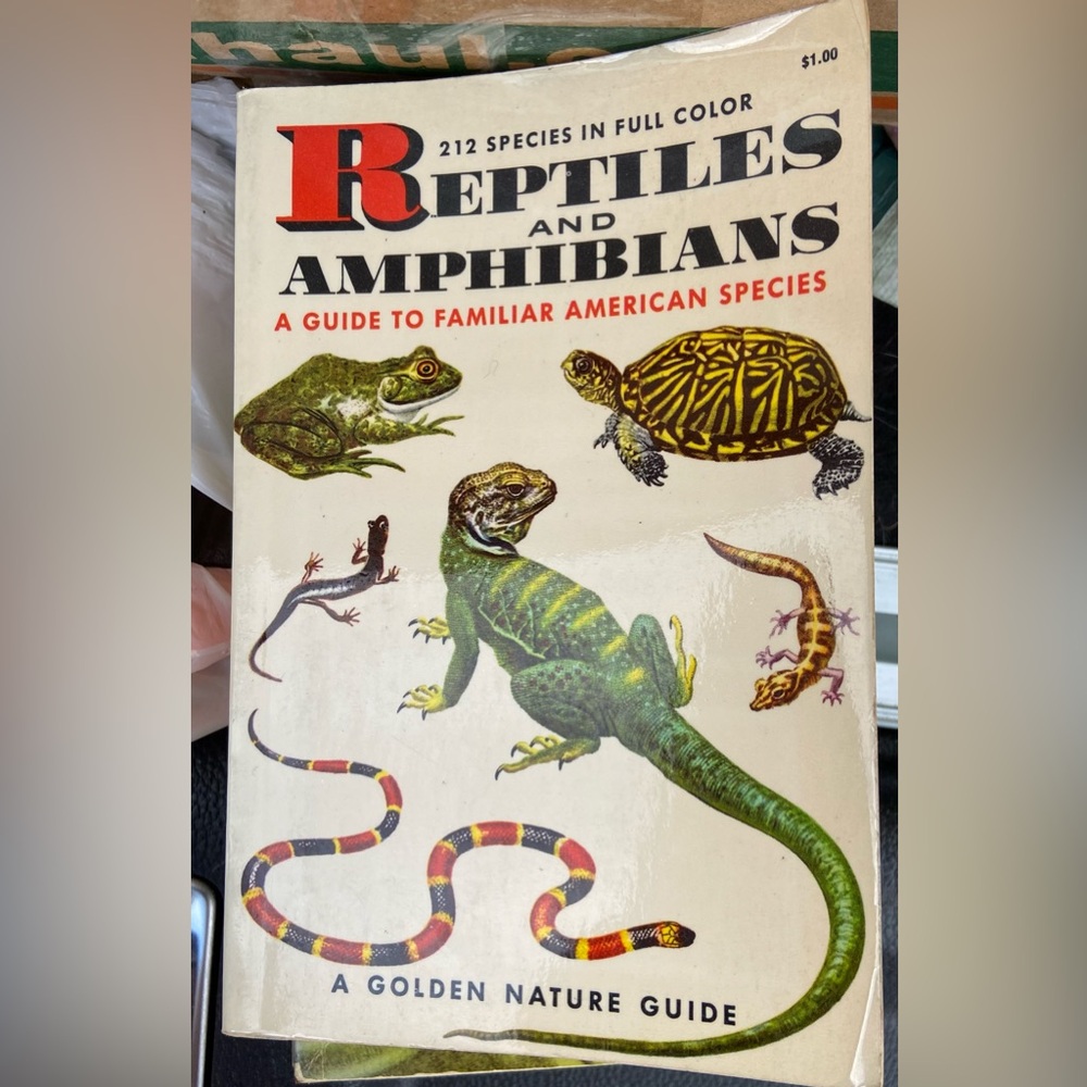 Vintage illustrations Reptile Amphibian book Snake frog snakes turtle illustrate